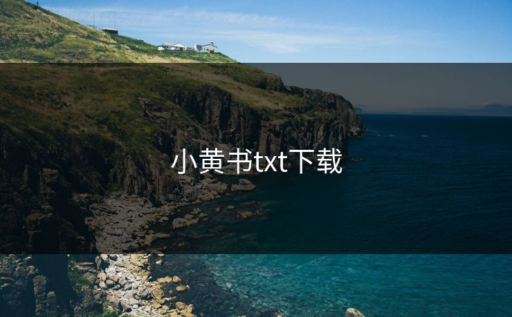 小黄书txt下载