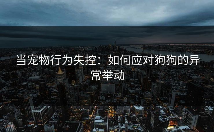 当宠物行为失控：如何应对狗狗的异常举动