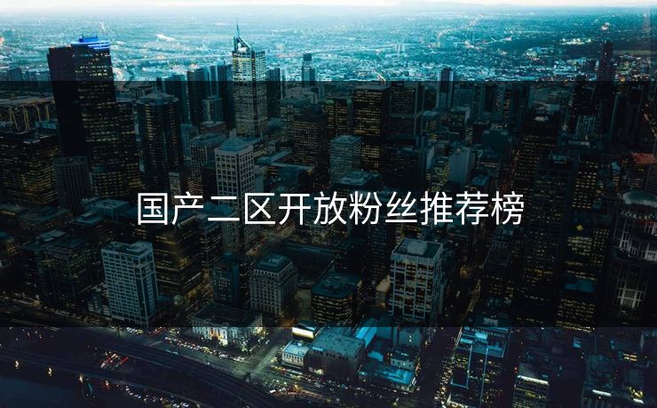 国产二区开放粉丝推荐榜