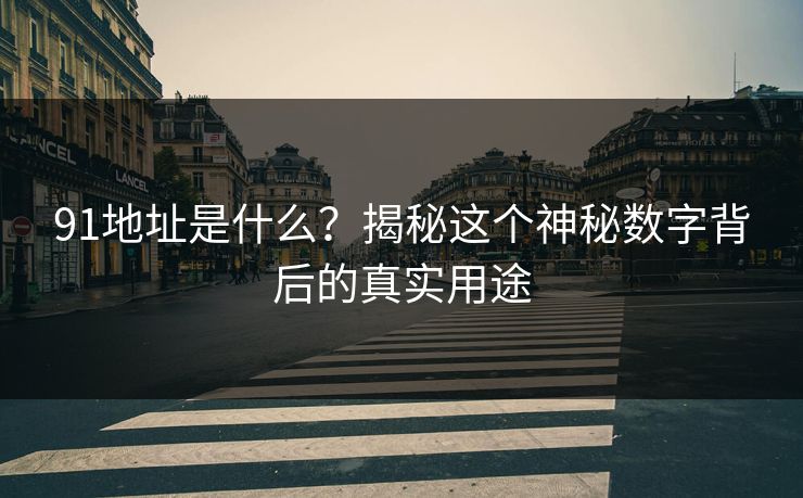 91地址是什么？揭秘这个神秘数字背后的真实用途