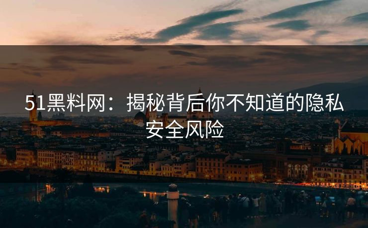 51黑料网：揭秘背后你不知道的隐私安全风险