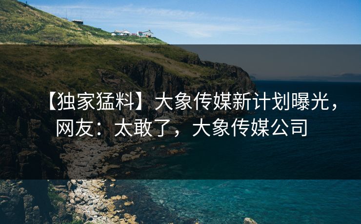 【独家猛料】大象传媒新计划曝光，网友：太敢了，大象传媒公司