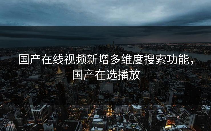 国产在线视频新增多维度搜索功能，国产在选播放