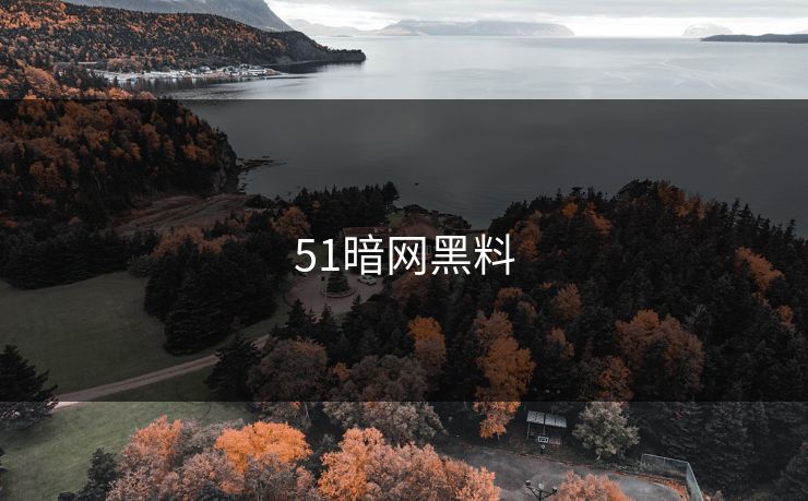 51暗网黑料