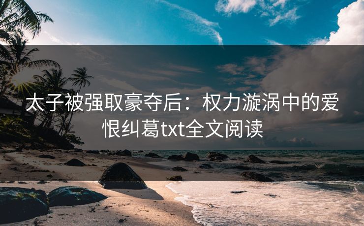 太子被强取豪夺后：权力漩涡中的爱恨纠葛txt全文阅读