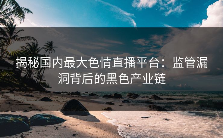 揭秘国内最大色情直播平台：监管漏洞背后的黑色产业链