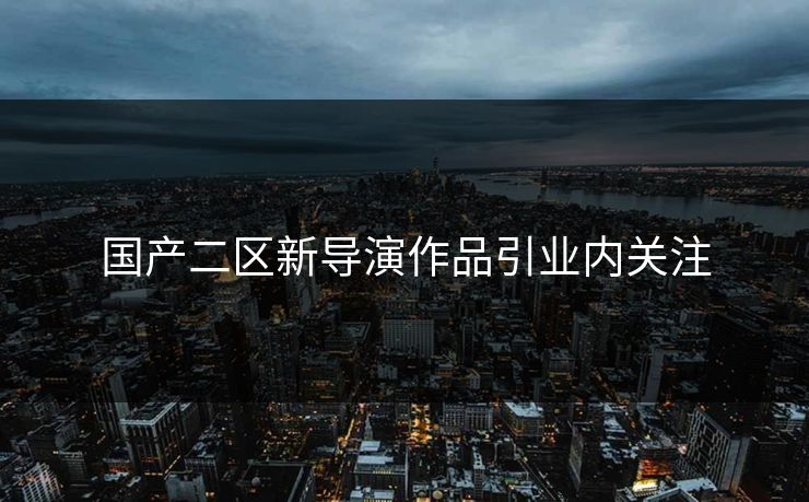 国产二区新导演作品引业内关注