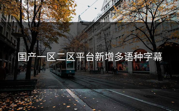 国产一区二区平台新增多语种字幕