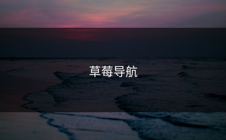 草莓导航